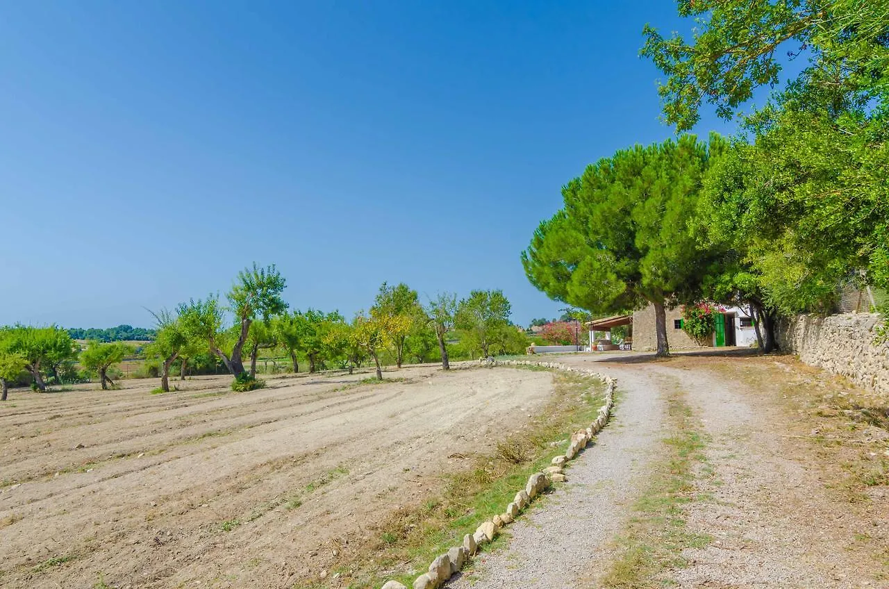 Sa Rota Villa Montuiri  Alpehytte