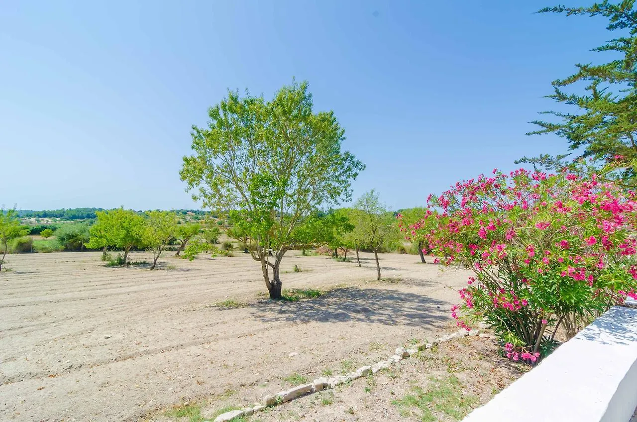 Villa Sa Rota  Montuiri  0*, Montuiri (Mallorca) España